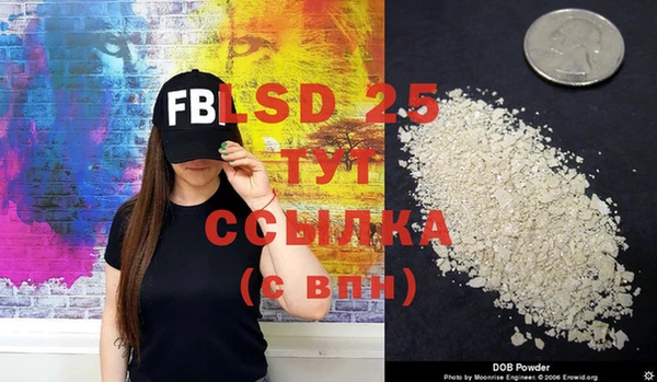 СК Вязьма