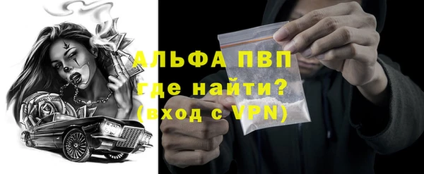 СК Вязьма