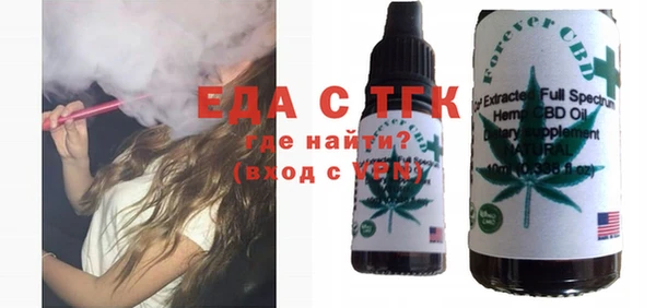 СК Вязьма