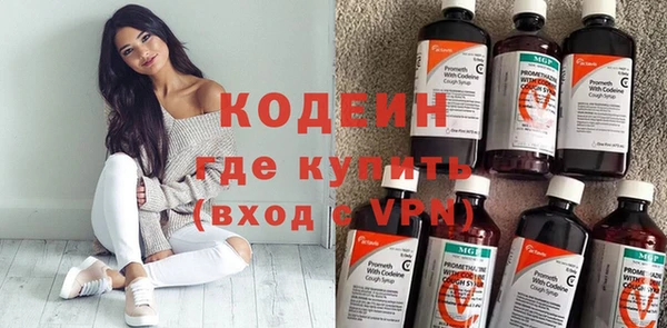 СК Вязьма